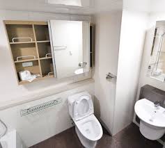 home toilet